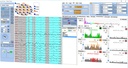 TruScan qEEG Neurofeedback Image 02